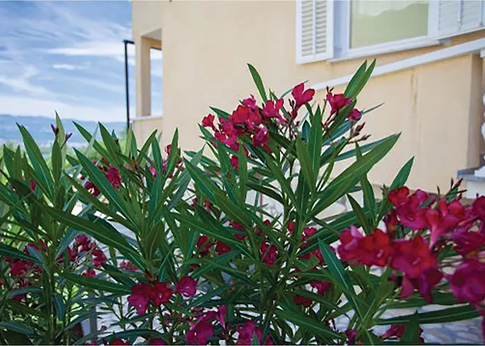 Gorgeous In * Malinska