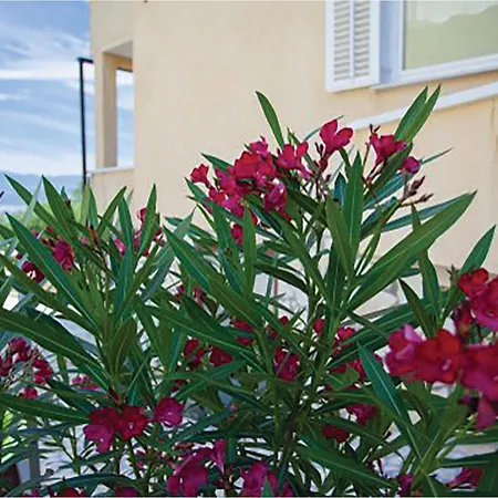 Gezellig Appartement In Malinska * Malinska