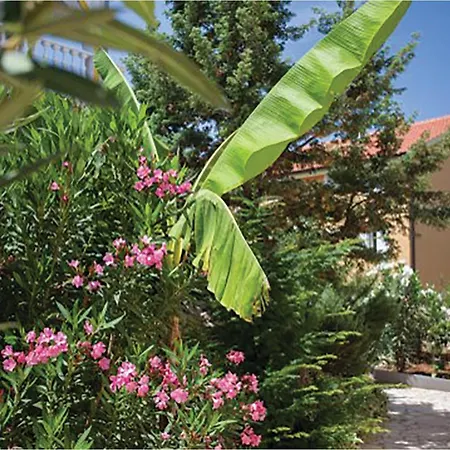 Appartamento Gorgeous In *